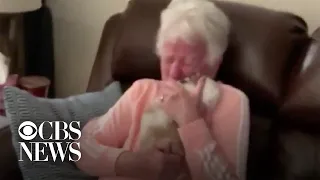 Grandma has priceless reaction to surprise puppy in viral video