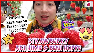 PANEN STRAWBERRY🍓DAN MAKAN SEPUASNYA |🍓AKI HIME & 🍓 BENI HOPPE ( 2022 )