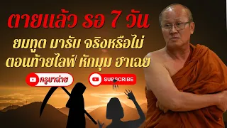 ตายแล้ว รอ 7 วัน ยมทูตมารับจริงหรือไม่ ตอนท้ายไลฟ์หักมุม ฮาเฉย 30/09/66 #พระสิ้นคิด