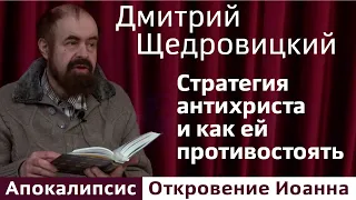 Стратегия антихриста и как ей противостоять.