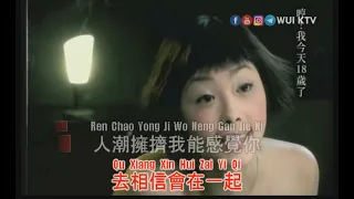 Fish Leong 梁靜茹 - Yong Qi 勇氣 KTV