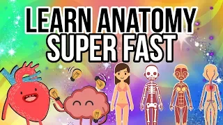 How to Learn Human Anatomy Quickly and Efficiently!