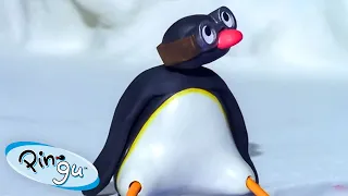 Mischievous Pingu 🐧 | Pingu - Official Channel | Cartoons For Kids