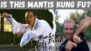 Why is Mantis Kung Fu Always Portrayed Wrong in the Movies?