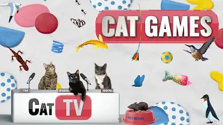 CAT Games | Ultimate Cat TV Compilation Vol 26 | 2 HOURS 🐝🐞🦋🦎🦜🐜🐭🧵