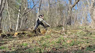 N8S STIHL MS 469e hybrid. 460/660 Leaning it out a bit.