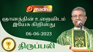 🔴 LIVE 06 JUNE 2023 Holy Mass in Tamil 06:00 PM (Evening Mass) | Madha TV