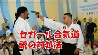 合気道VS 総合格闘技【セガールVS格闘家】