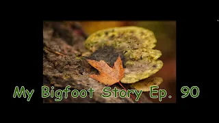 My Bigfoot Story Ep.  90 -  Bushman's Paradise