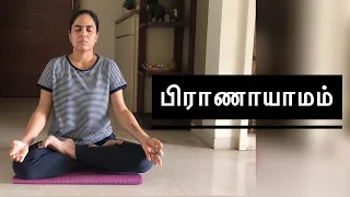 How to do Pranayama? Beginner guide | 55 | பிராணாயாமம் செய்வது எப்படி?