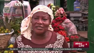 Prices of tomatoes in Nigeria soar by 700%, moth destroying the crop