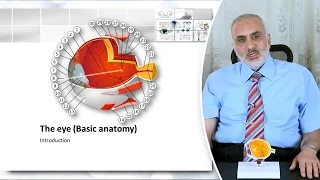 Elbromboly Basic ophthalmology IC Basic anatomy of the eye  part I
