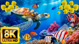 11 HOURS of 8K Underwater Wonders + Relaxing Music - Coral Reefs & Colorful Sea Life in UHD