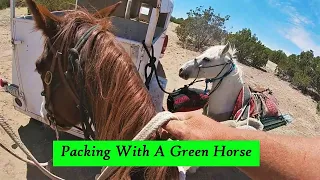 A Green Horse Goes On First Pack Trip & Other Backcountry Tips