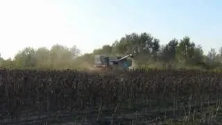 Fortschritt E516 Sunflower harvest