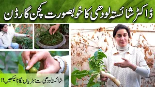 Shaista Lodhi's Turns Her Home Into A Kitchen Garden #Vlog