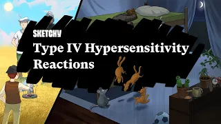 Understanding Type IV Hypersensitivity Reactions (Part 1) | Sketchy Medical | USMLE Step 1