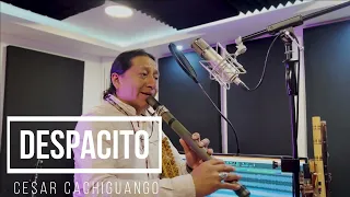 COVER  DESPACITO CESAR CACHIGUANGO