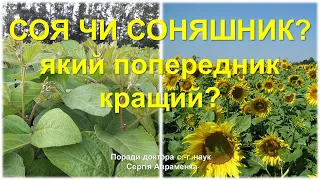 Соя чи соняшник? Який попередник кращий?