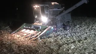Day 5 of corn harvest 2020 with gleaner combines