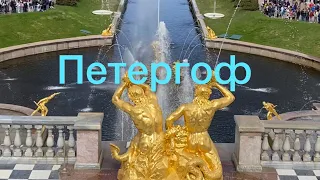 Великолепный Петергоф! Мои впечатления на первой экскурсии по Нижнему парку Петергофа