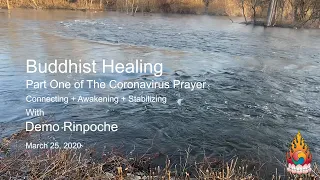 Buddhist Healing - Part One of The Corona Virus Prayer - Demo Rinpoche