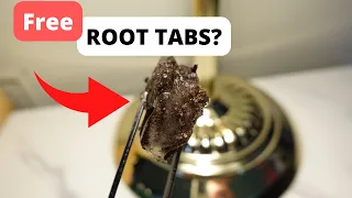 DIY Root Tabs For A Planted Aquarium