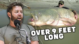 New World Record Catfish