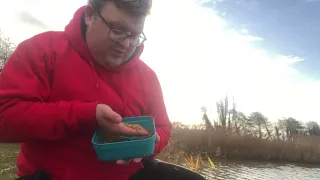 Winter method feeder Tips