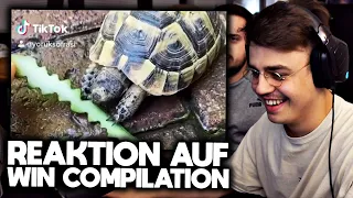 Papaplatte reagiert auf WIN COMPILATION! 😂🔥 (mit Reeze)