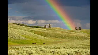 At The End of a rainbow (Earl Grant Cover)