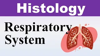 Chp13 Histology Inder Bir Singh | Histology of Respiratory System | Histology Lectures
