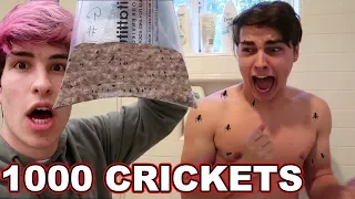 DUMPING CRICKETS ON ROOMMATE PRANK (FREAKOUT)