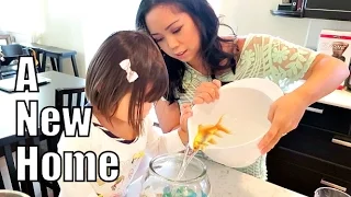 A New Home! - September 18, 2015 -  ItsJudysLife Vlogs