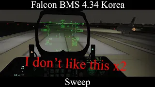 Falcon BMS 4.34 - Sweep - I don't like this