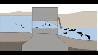 Fish Passage, Flood Gates, and Pump Stations Solutions Workshop