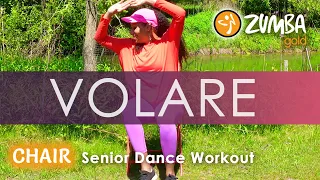 ZUMBA GOLD® CHAIR | Volare by Gypsy Kings | Seated Dance Workout | Senior Fitness | We Keep Moving