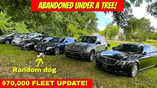I Spent $70,000 on cars and Left them Under a Tree! ABANDONED!