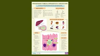 Progressive Familial Intrahepatic Cholestasis, Veronica Lee, DO, MS, Sarah Bedoyan, MD, MA