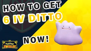 How to get 6 BEST IV Ditto in Tera Raids | April 7-9th ► Pokemon Scarlet & Violet