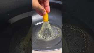 EXPERIMENT JAGUNG EKOR KOMET