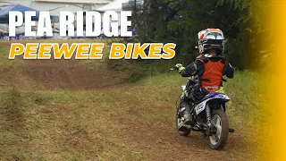Pea Ridge PeeWee Bikes | MidEast Racing 2022