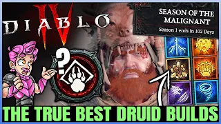 Diablo 4 - The Top 5 BEST Druid Builds For Season 1 - Leveling & Endgame Most Powerful Build Guide!