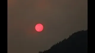 SASQUATCH, A Recent Vancouver Island Terrifying Night