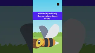 Bee Spelling and Description for Kids #kidsvocabularywords #vocabulary #kidsvideo #kidslearn