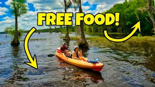 🎣 Feast Like a King, Spend Like a Peasant: Living Off the Land for FREE! 🌿 Catch, Forage, and Cook!