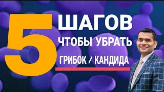 🔥 5 Метода Очищения От Грибков | Лечение кандидоза и грибковых инфекций | Кандида. Дрожжи.