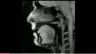 Live MRI of human tongue while talking