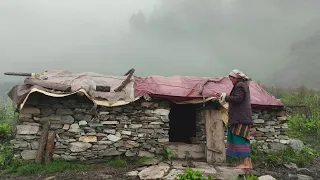 himalayan sheep shepherd life | dolpa | nepal🇳🇵| most peaceful and relaxation nepali village life