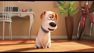 The Secret Life of Pets - Trailer - Own it Now